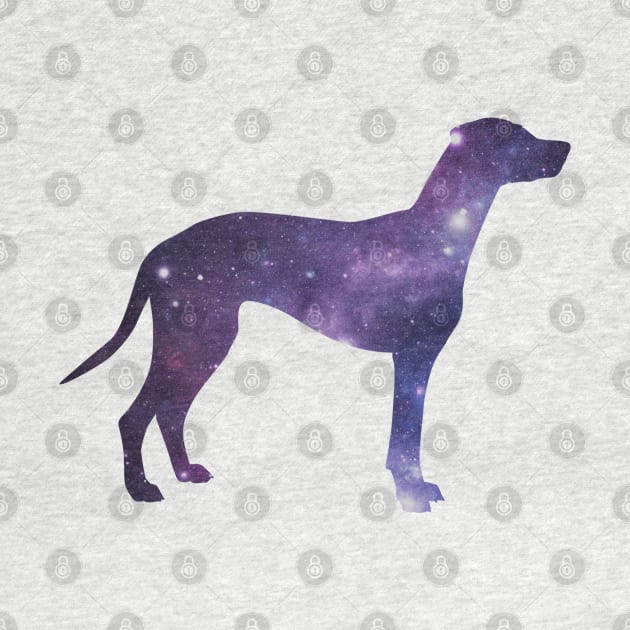 galaxy mutt by juinwonderland 41